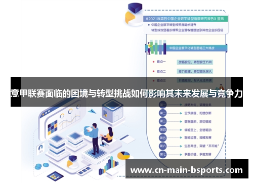 意甲联赛面临的困境与转型挑战如何影响其未来发展与竞争力