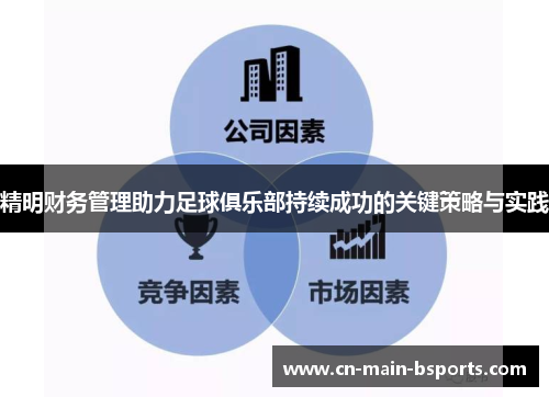 精明财务管理助力足球俱乐部持续成功的关键策略与实践