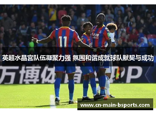英超水晶宫队伍凝聚力强 氛围和谐成就球队默契与成功